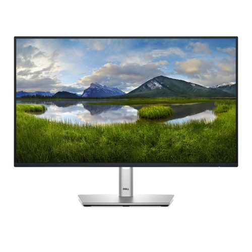 MONITOR DELL P2425H LED 23.8", FULL HD, HDMI/DISPLAYPORT, NEGRO/PLATA