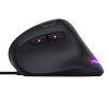 MOUSE GAMER ERGONÓMICO TRUST GXT144 REXX, ALÁMBRICO, ÓPTICO, 10.000DPI, USB-A, NEGRO, 22991