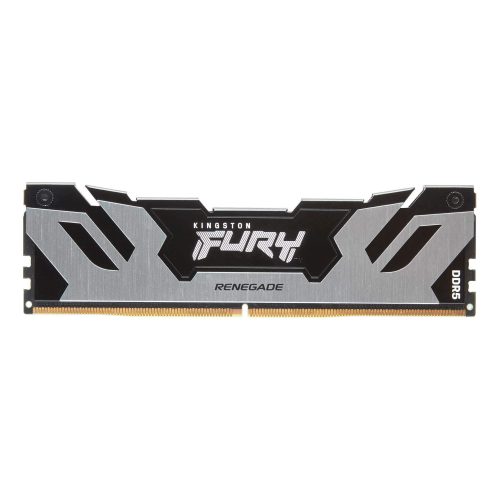 Memoria RAM Kingston FURY Renegade Silver DDR5, 6400MHz, 16GB, Non-ECC, CL32, XMP, KF564C32RS-16, /MAX. 1 X CLIENTE