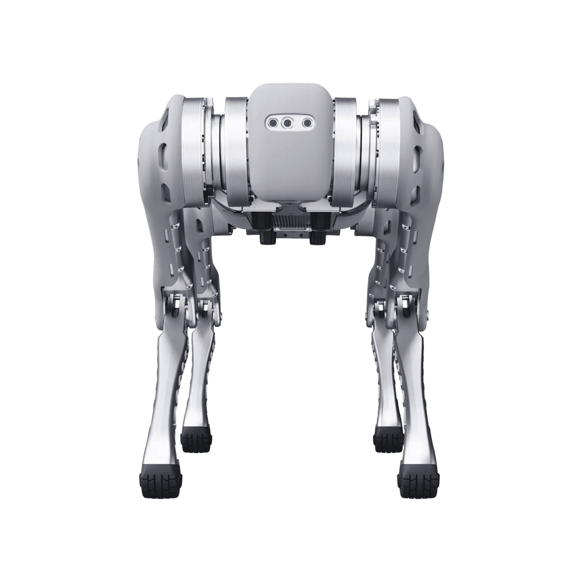 PERRO ROBOT B1ROBOT BIONICO PARA INSPECCION, AGRICULTURA, SEGURIDAD, RECONOCIMIENTO DE HUMANOS, CONTROL REMOTO, TAREAS PROGRAMADAS, CAMARA INTEGRADA, INTELIGENCIA ARTIFICIAL, AUTONOMIA, ALTA RESISTENCIA, TECNOLOGIA AVANZADA. - Image 2