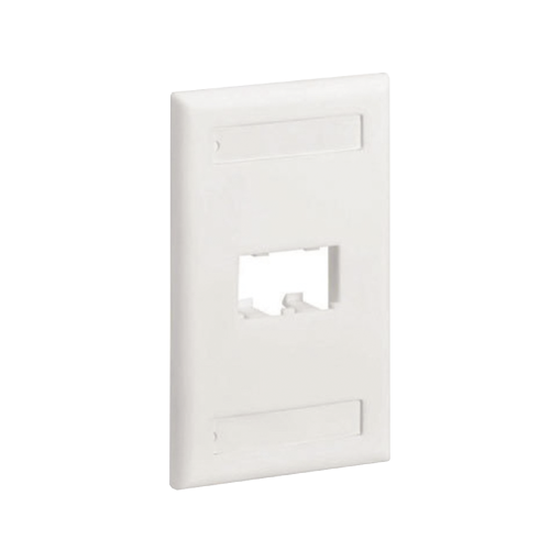 PANDUIT CFPL2IWY Placa de Pared Vertical Clásica, Salida Para 2 Puertos Mini-Com, Con Espacios Para Etiquetas, Color Blanco Mate