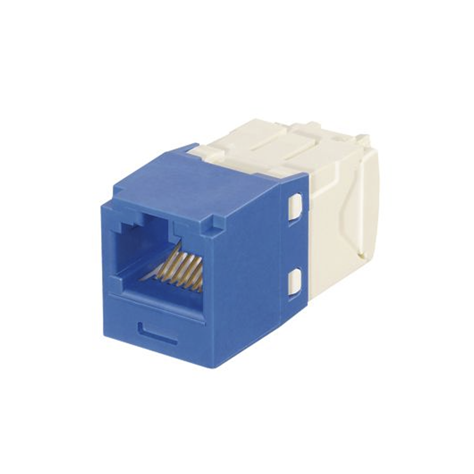 PANDUIT CJK688TGBU Conector Jack RJ45 Estilo TG con Llaveado Azul, Mini-Com, Categoría 6, de 8 posiciones y 8 cables
