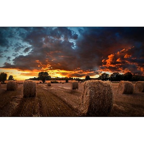 Monitor Profesional Videowall SAMSUNG VM46B-U – 46 Pulgadas, 500 Cd / M², 1920 X 1080 Pixeles, Negro