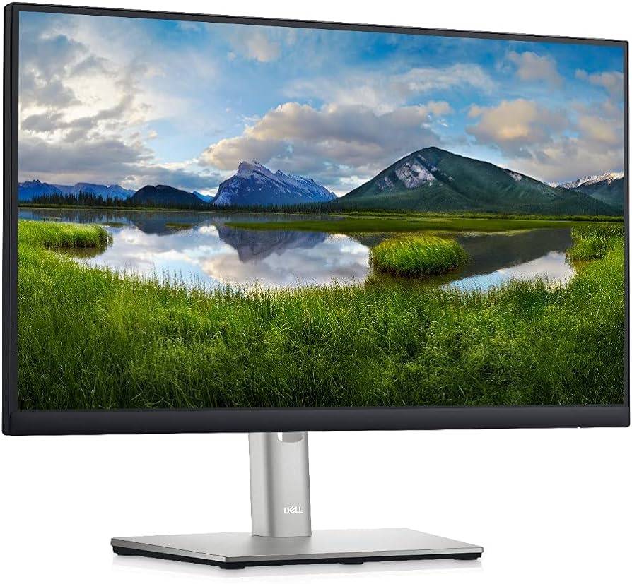 Monitor DELL P2225H – 21.5 Pulgadas, 1920 X 1080 Pixeles, Negro