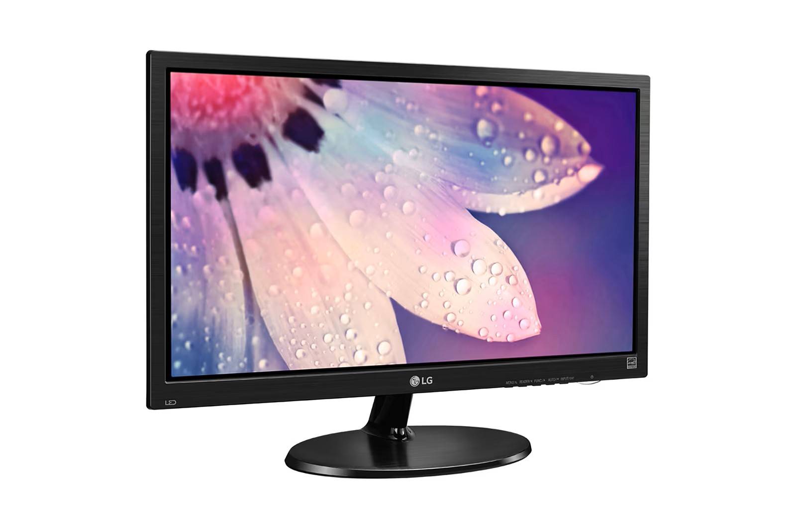 MONITOR LED LG DE 18.5 19M38L –