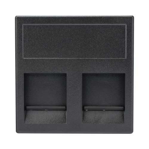 SIMON SM-2-KEY-G Módulo Color Grafito con 2 Espacios para Jacks Keystone, (KB76/14)