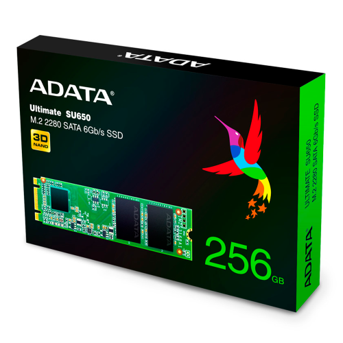Unidad de Estado Sólido SSD Adata Ultimate SU650 3D TLC, 256GB, M.2, 510 MB/s Escritura, 550MB/s Lectura, SATA III, ASU650NS38-256GT-C /MAX. 1 X CLIENTE