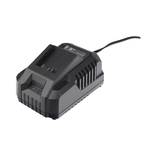 DONGCHENG FFCL-2004 Cargador para Baterías de 20 Vcc